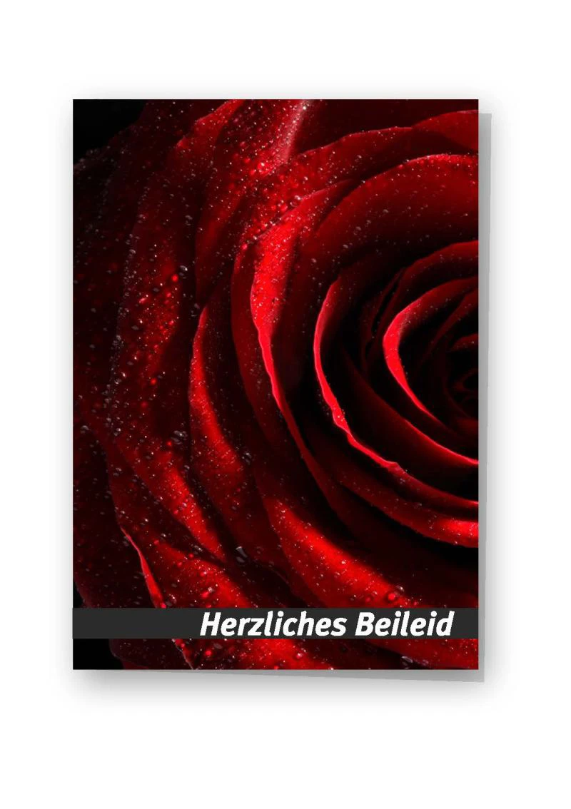 Beileidskarte "rote Rosenblüte"