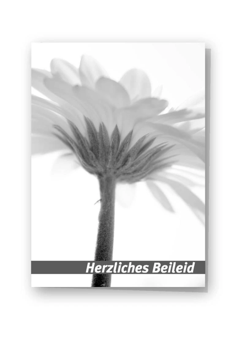 Beileidskarte "Gerbera" schwarzweiß