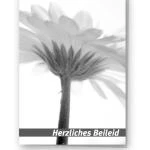Beileidskarte "Gerbera" schwarzweiß