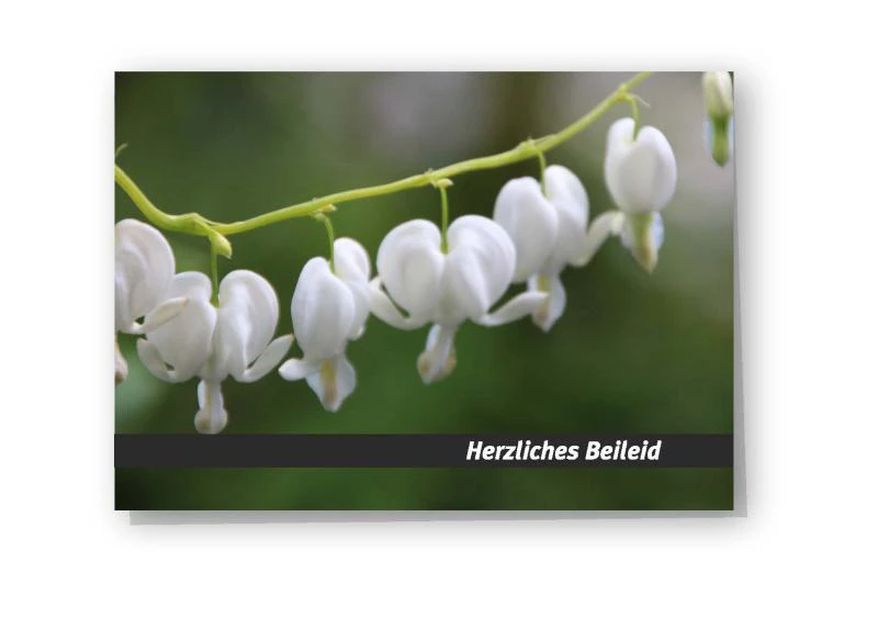 Beileidskarte "Tränendes Herz 2"