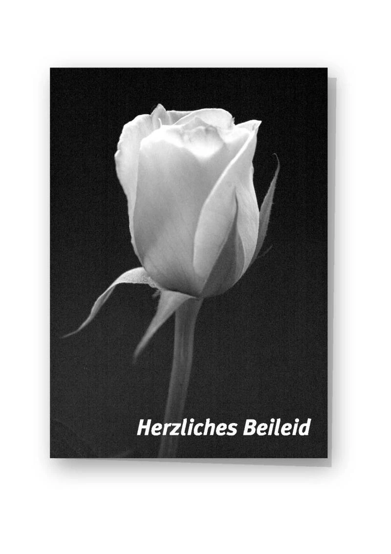 Beileidskarte "weiße Rose"