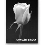 Beileidskarte "weiße Rose"