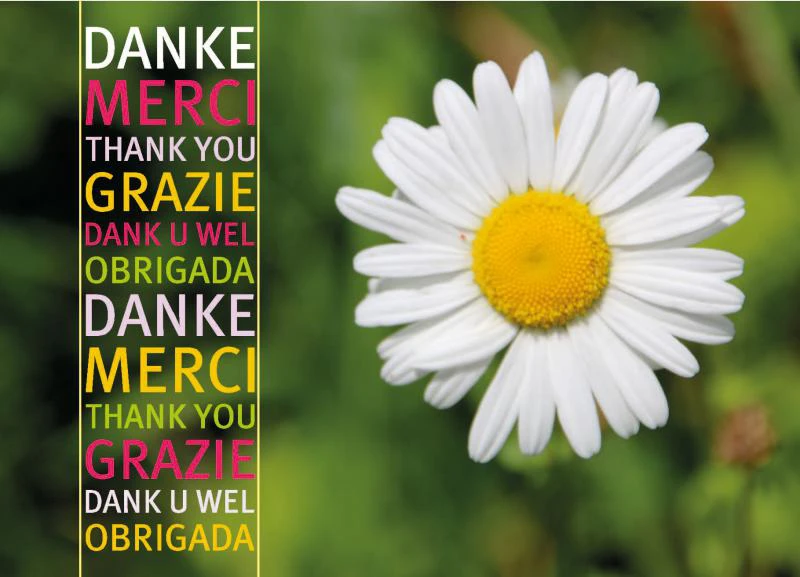 Postkarte "Danke Margerite"