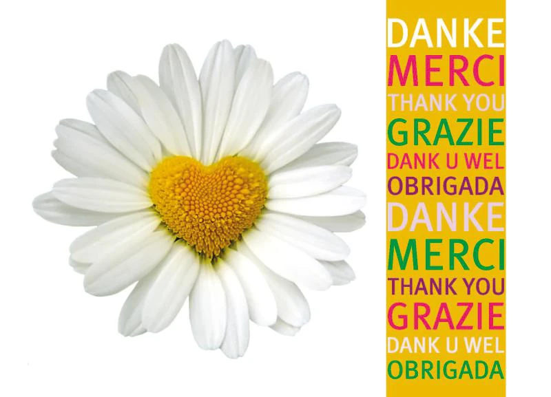 Postkarte "Danke Margerite mit Herz"