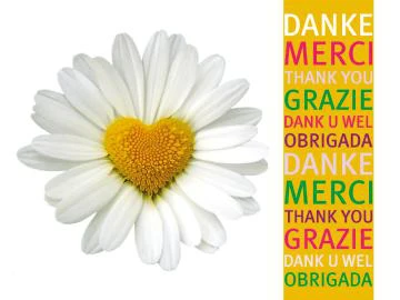 Postkarte "Danke Margerite mit Herz"