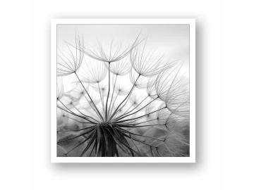 Postkarte Pusteblume