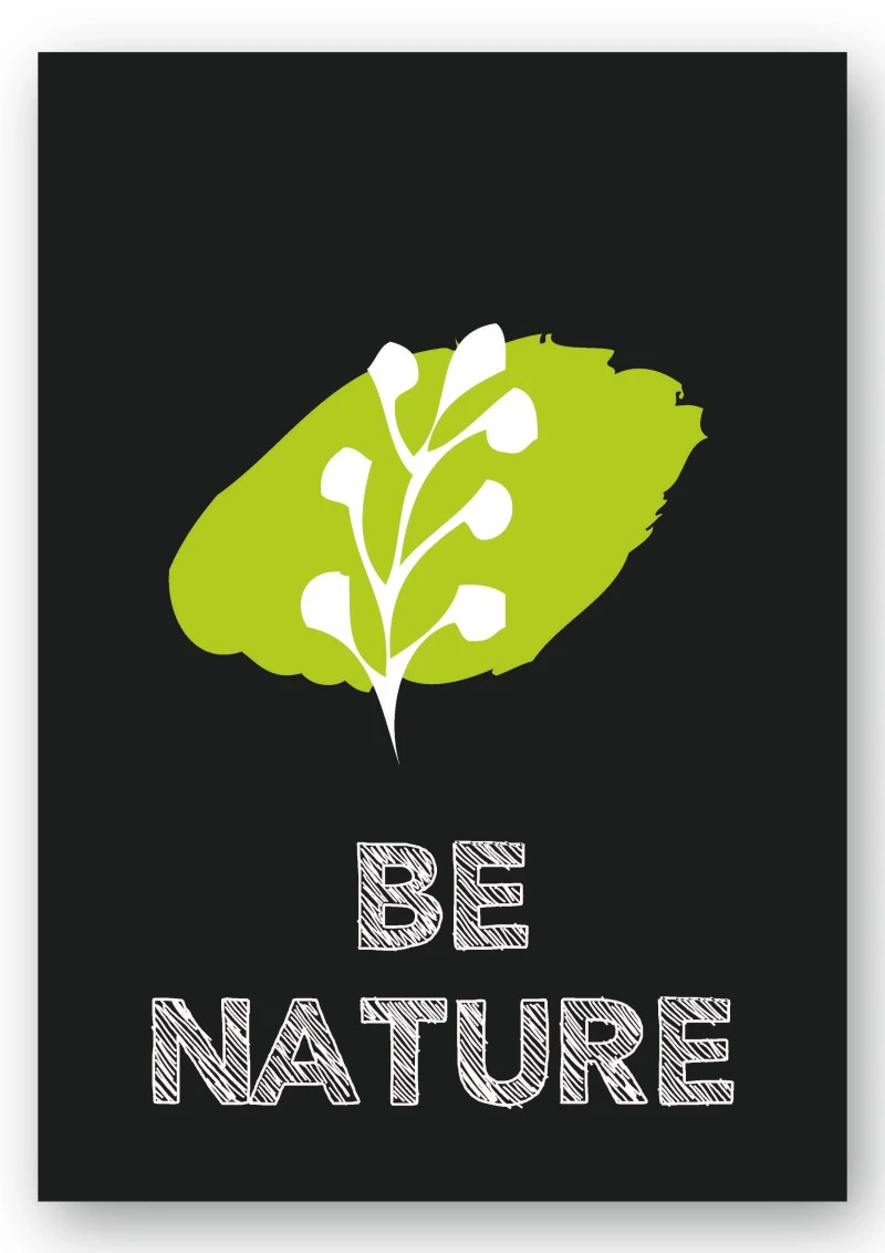 Wandbild be nature - Zweig